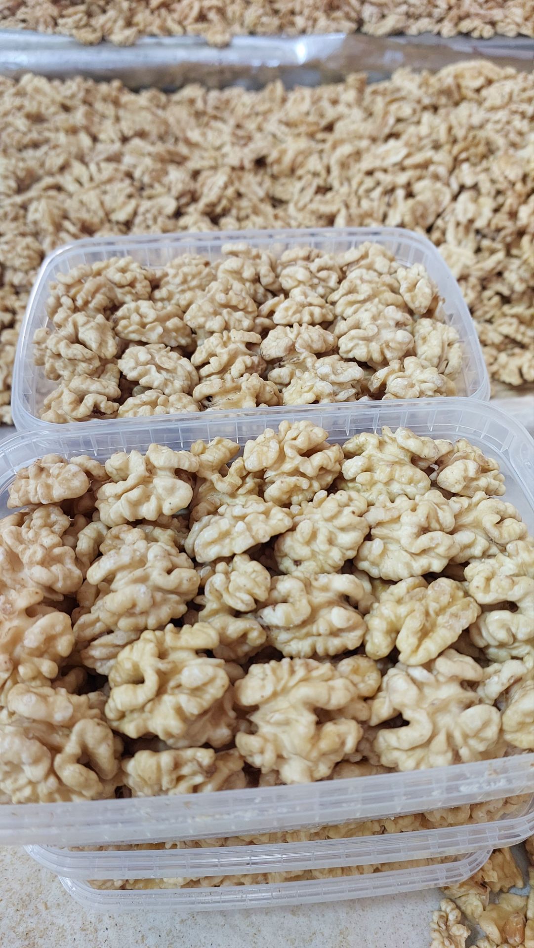 مغز گردو